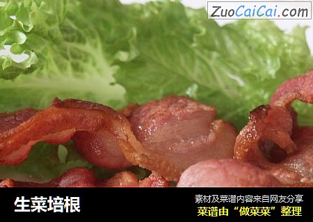 生菜培根
