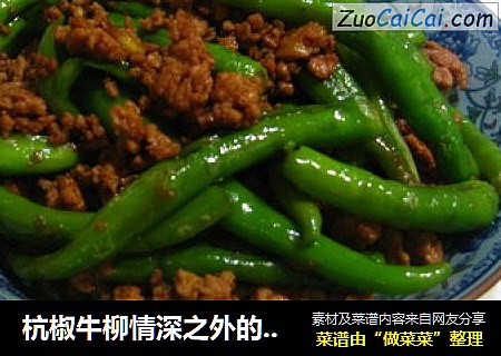 杭椒牛柳情深之外的一款惹味--杭椒肉末恋