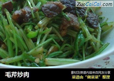 毛芹炒肉