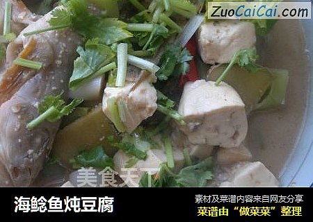 海鲶鱼炖豆腐