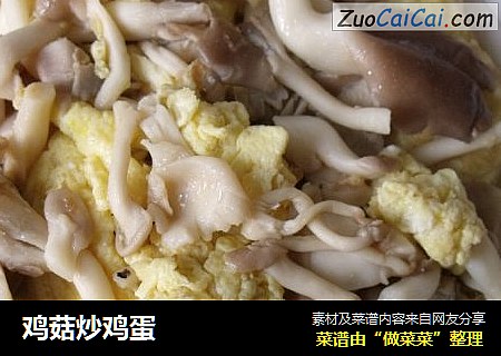 鸡菇炒鸡蛋