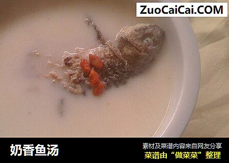 奶香鱼汤