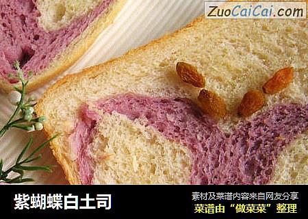 紫蝴蝶白土司
