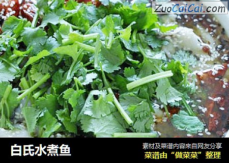 白氏水煮鱼