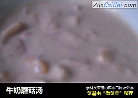 牛奶蘑菇汤
