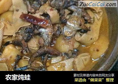 农家炖蛙