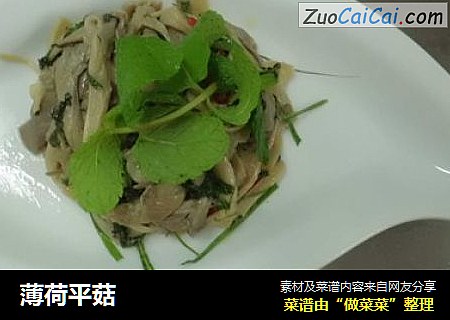 薄荷平菇
