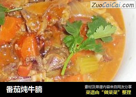 番茄炖牛腩