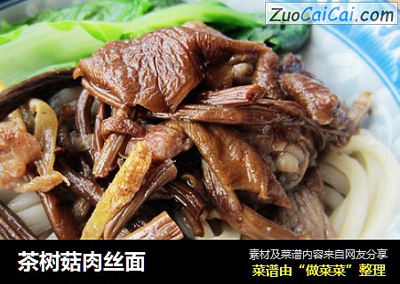 茶树菇肉丝面