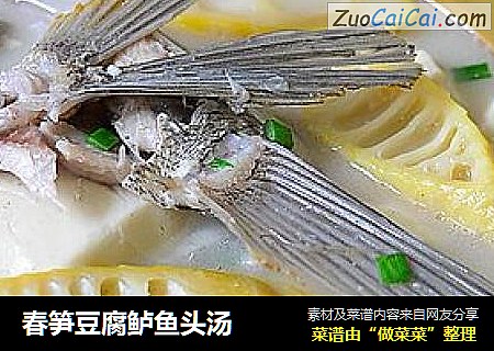 春笋豆腐鲈鱼头汤