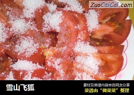 雪山飞狐