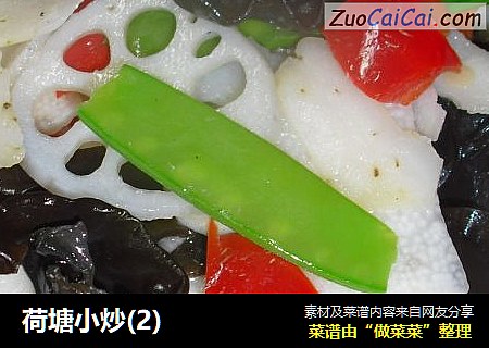 荷塘小炒(2)