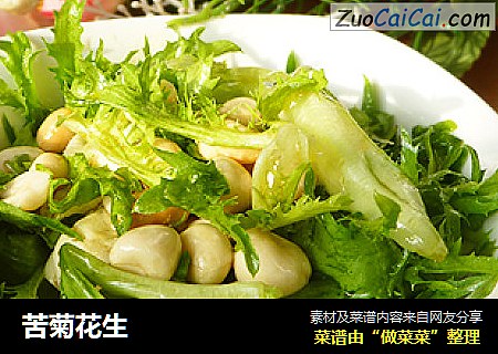 苦菊花生