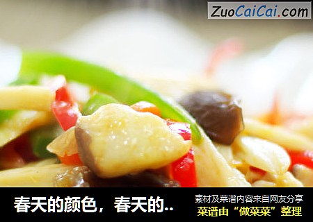 春天的颜色，春天的味道——素炒手撕杏鲍菇