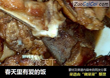 春天里有爱的饭