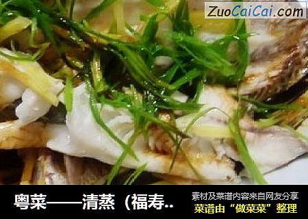 粤菜——清蒸（福寿）鱼