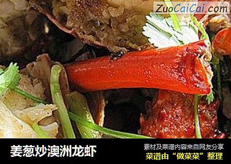 姜葱炒澳洲龙虾