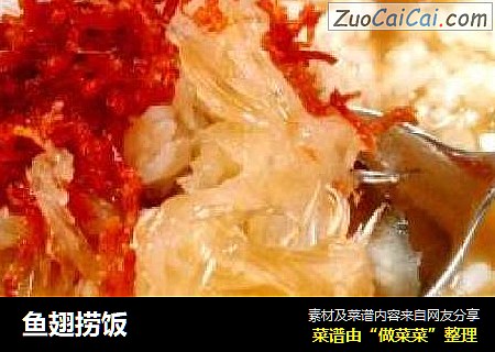 鱼翅捞饭