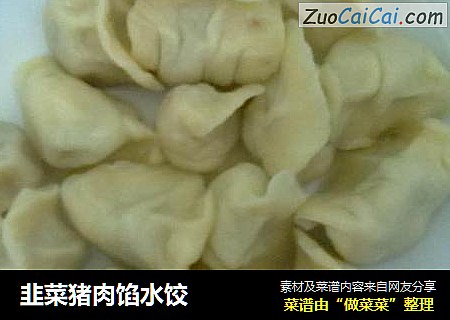 韭菜猪肉馅水饺