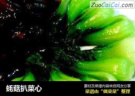 蚝菇扒菜心