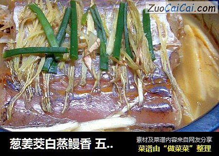 葱姜茭白蒸鳗香 五香红焖五花肉 “免火再煮一锅焖”