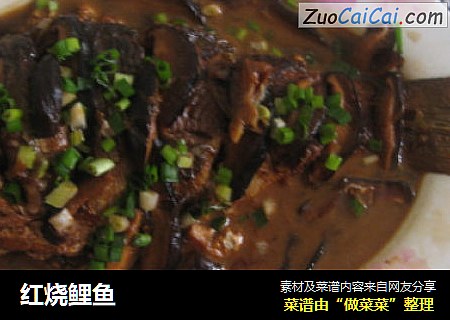 红烧鲤鱼