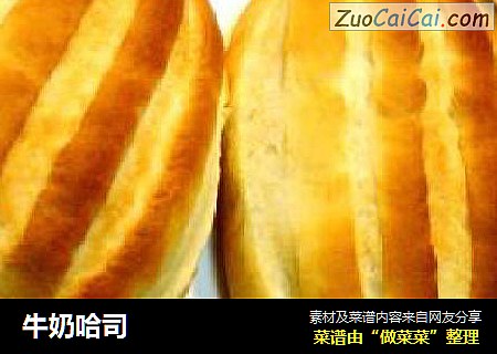 牛奶哈司