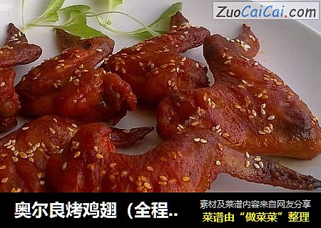 奥尔良烤鸡翅（全程图解）