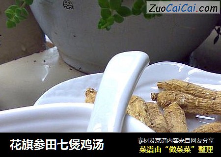 花旗参田七煲鸡汤