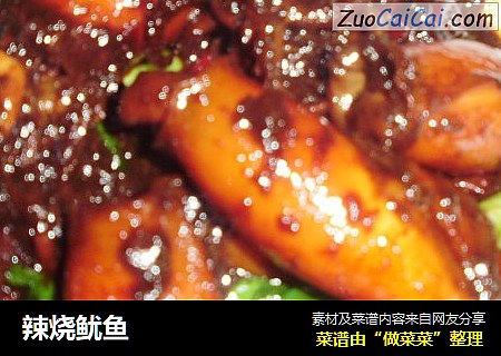 辣烧鱿鱼