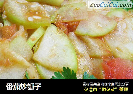 番茄炒瓠子