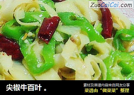 尖椒牛百叶 。