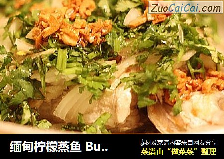 缅甸柠檬蒸鱼 Burmese style lemon fish