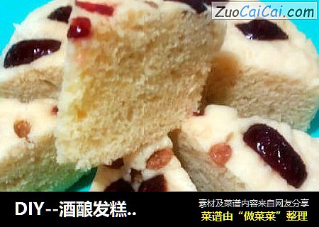 DIY--酒酿发糕你做了没？