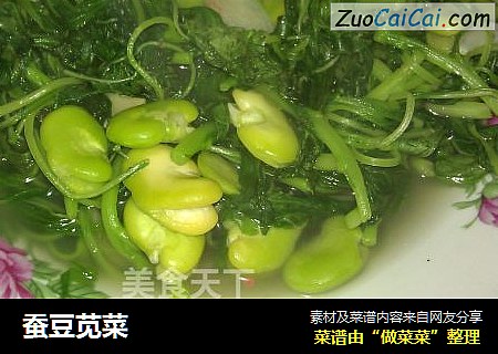蚕豆苋菜