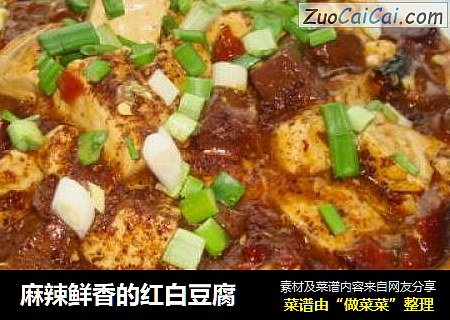 麻辣鲜香的红白豆腐