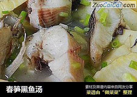 春笋黑鱼汤
