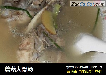 蘑菇大骨汤