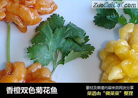 香橙双色菊花鱼
