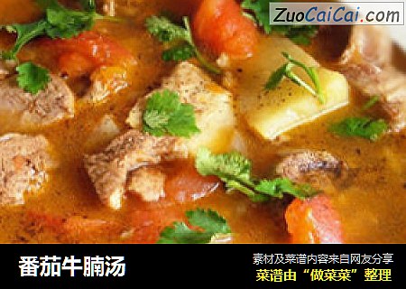 番茄牛腩汤
