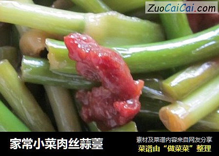 家常小菜肉丝蒜薹