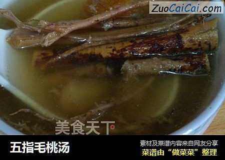 五指毛桃汤