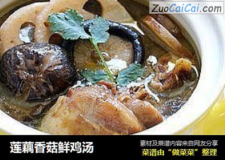 莲藕香菇鲜鸡汤