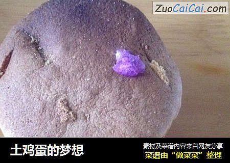 土鸡蛋的梦想