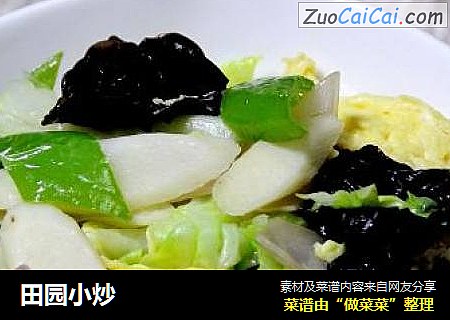 田园小炒