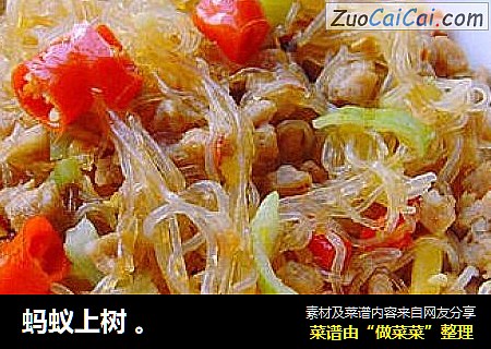 蚂蚁上树。