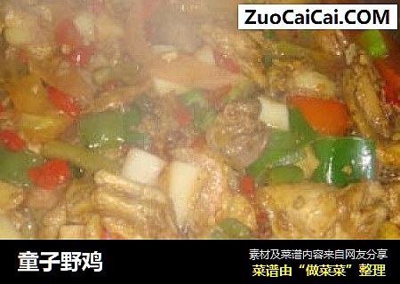 童子野鸡