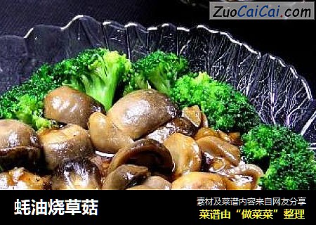 蚝油烧草菇
