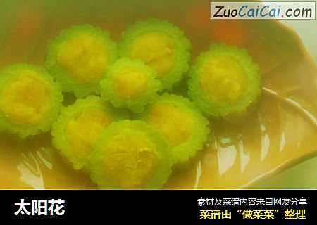 太阳花