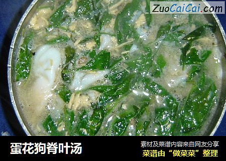 蛋花狗脊叶汤